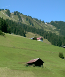 Stallungen im Kleinen Walsertal